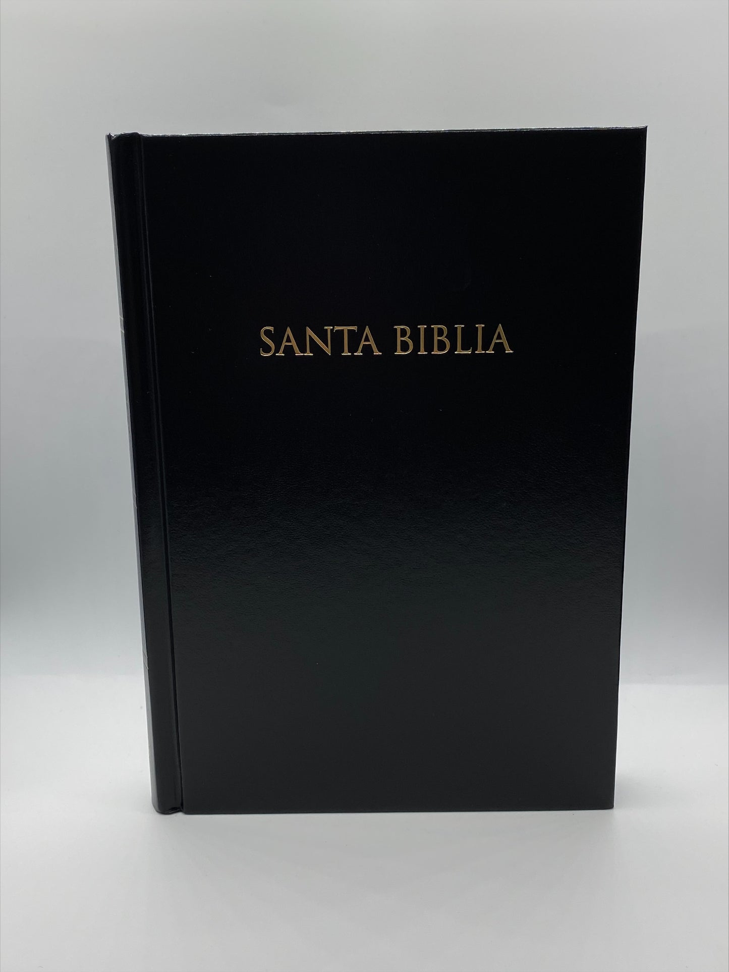 Santa Biblia Nueva Versión Internacional