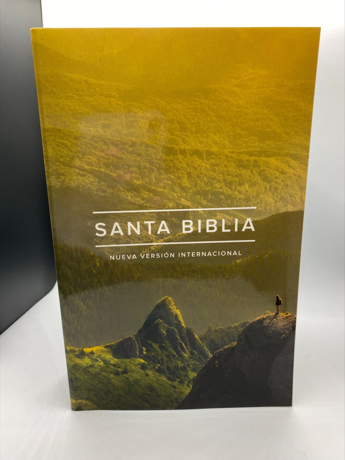 Santa Biblia Nueva Versión Internacional