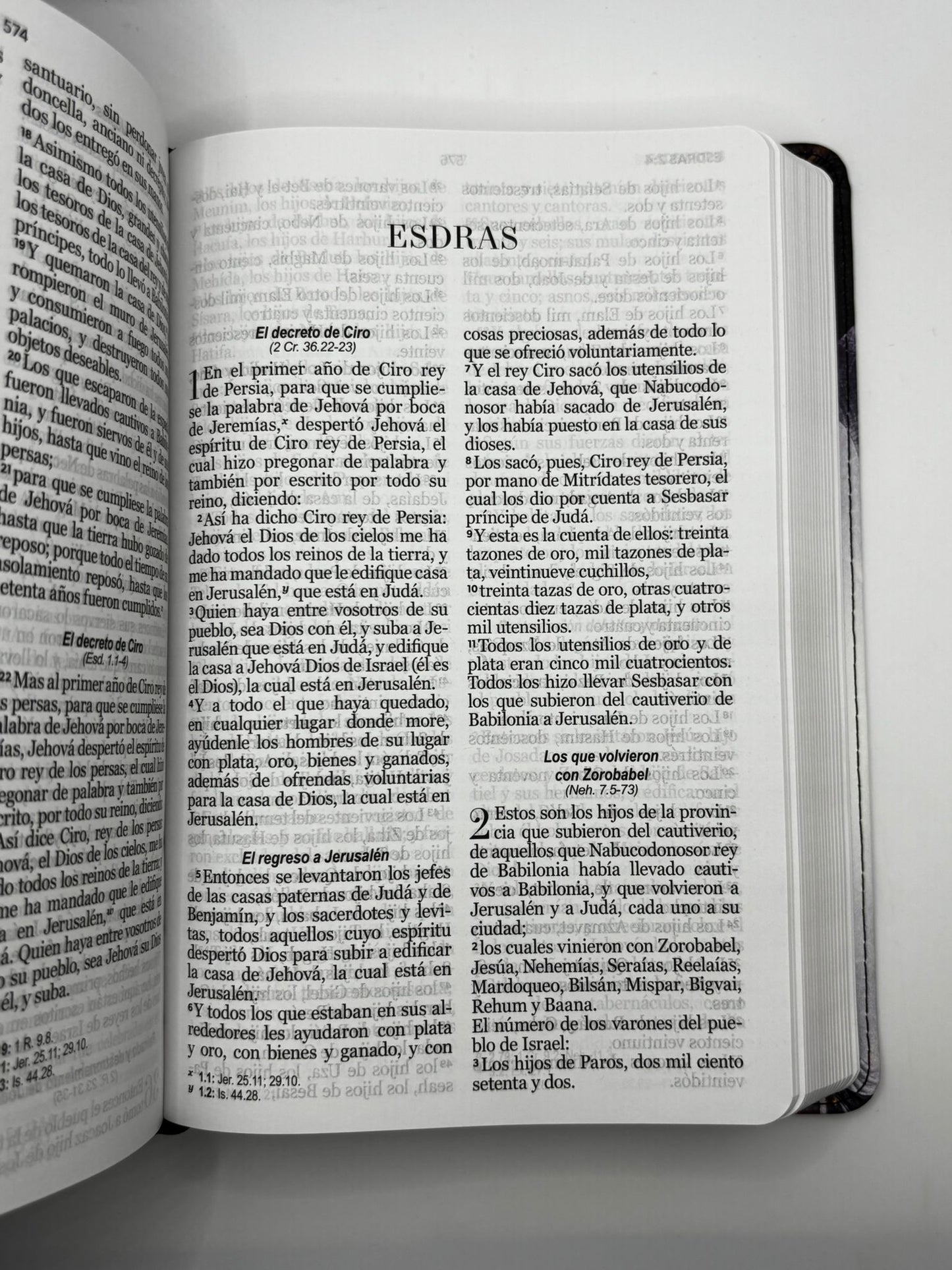 Santa Biblia - RV60 - Letra Grande