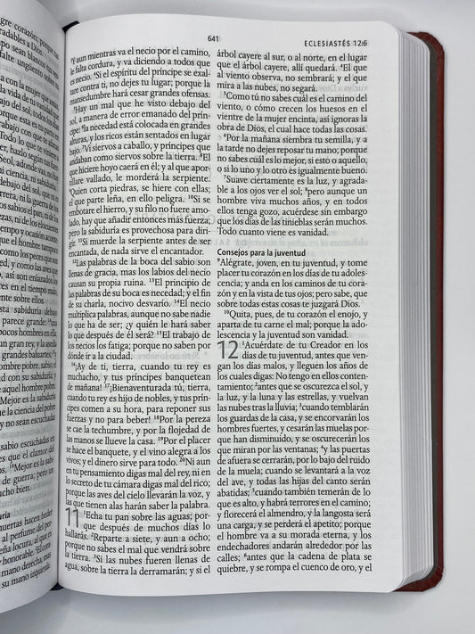 Santa Biblia Doble Corona