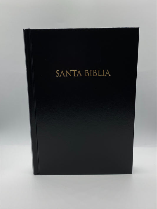 Santa Biblia Nueva Versión Internacional