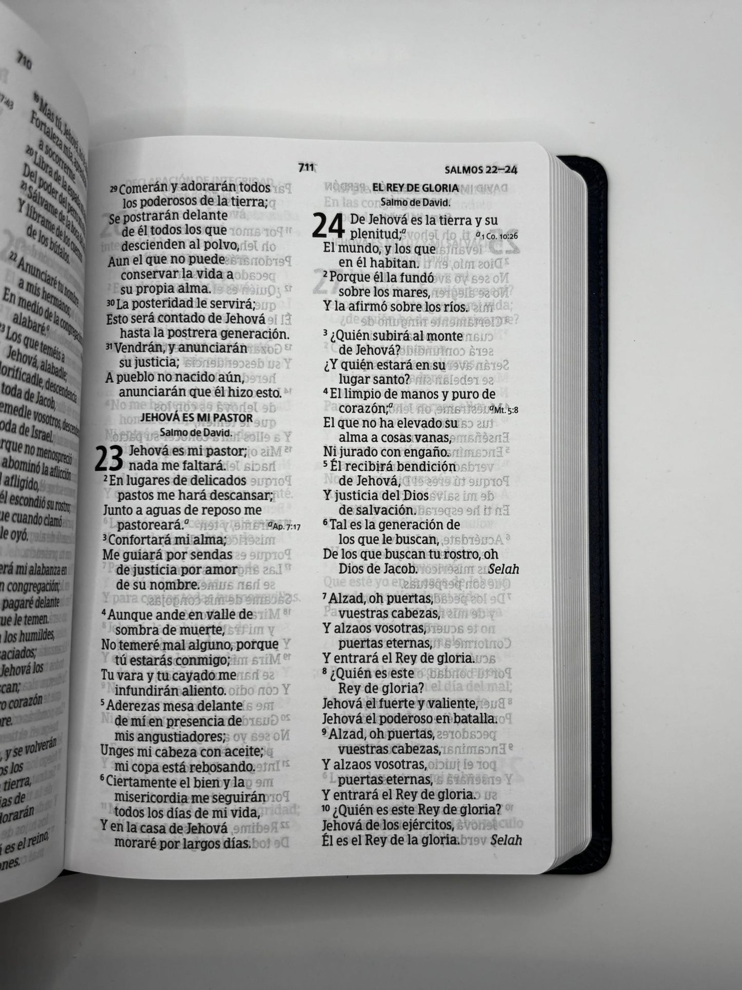 Biblia RV60 Tamaño Manual