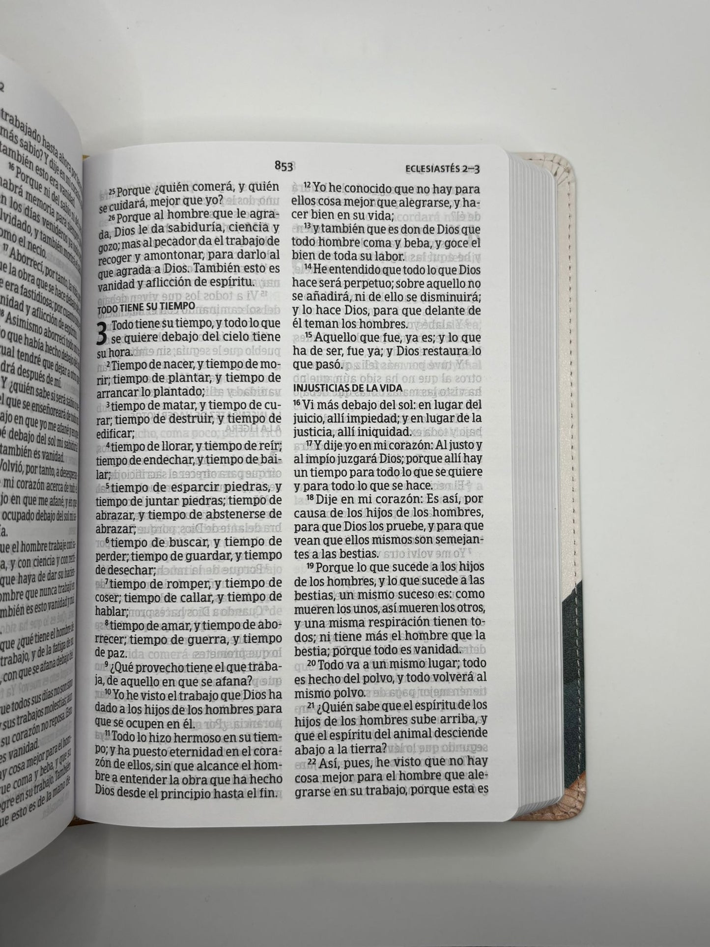Biblia RV60 Tamaño Manual