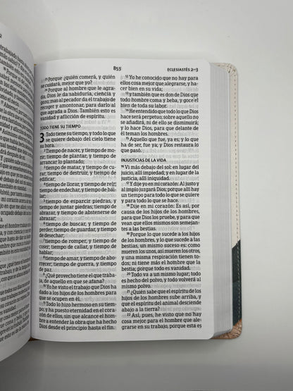 Biblia RV60 Tamaño Manual