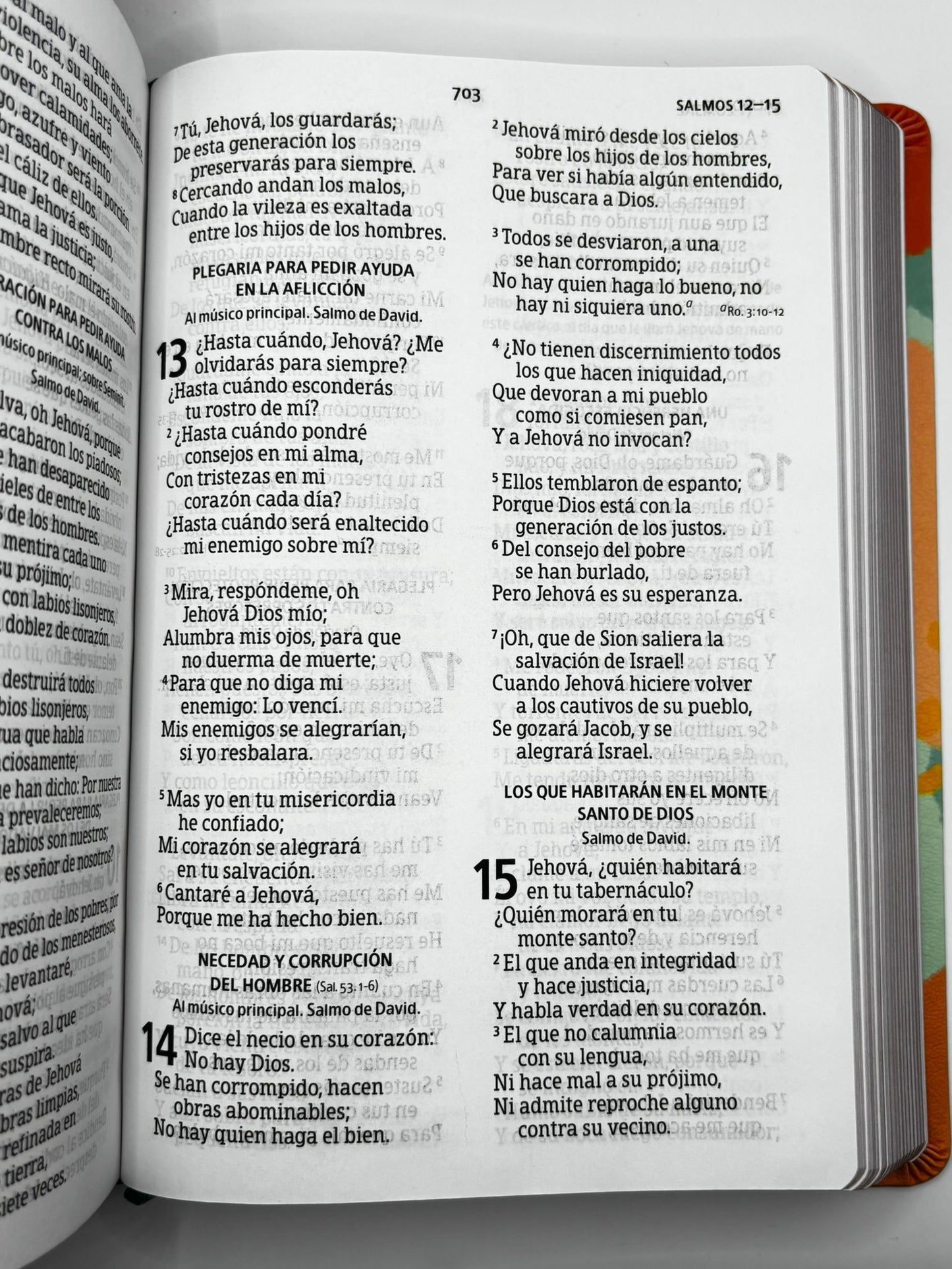Biblia Letra Gigante RV60