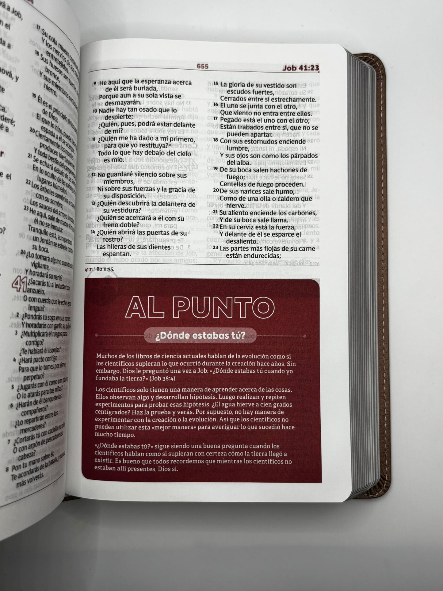Biblia de Estudio para Jóvenes