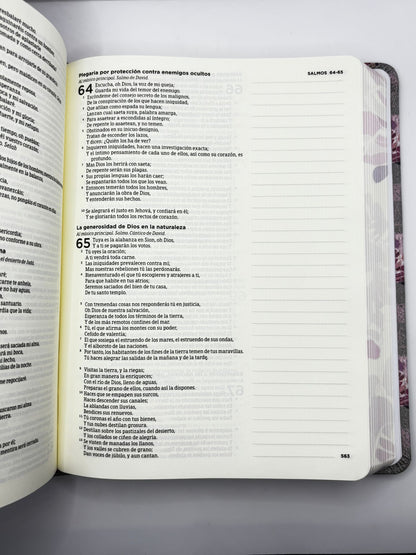 Biblia de Apuntes