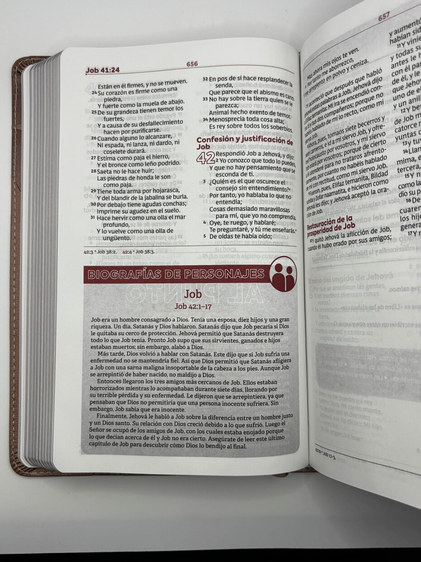 Biblia de Estudio para Jóvenes