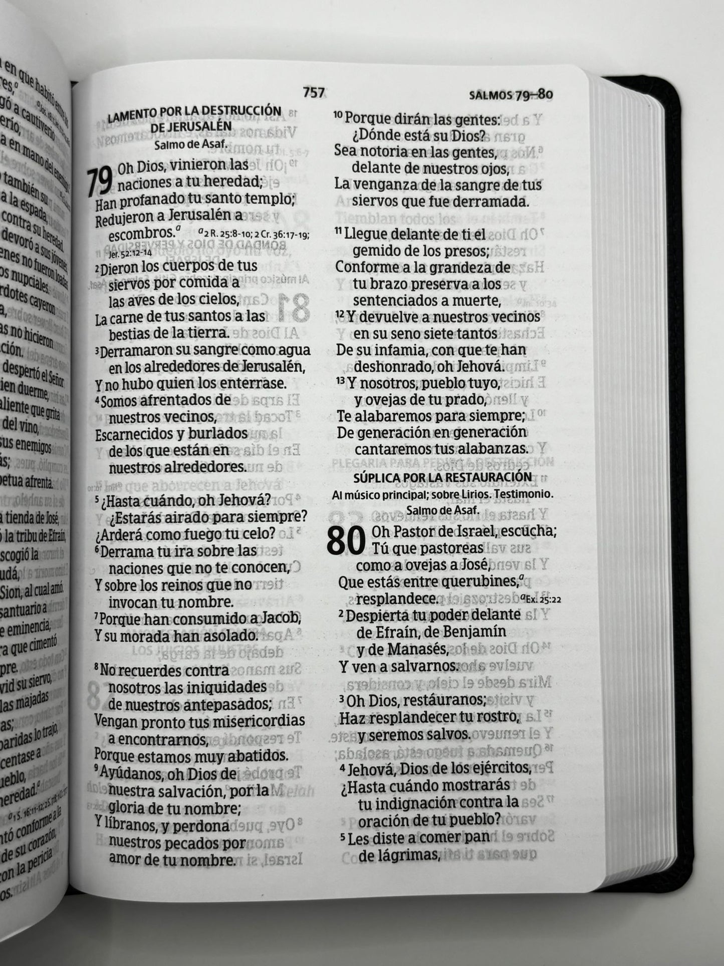 Biblia RV60 Tamaño Manual