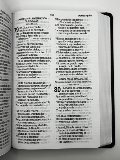 Biblia RV60 Tamaño Manual