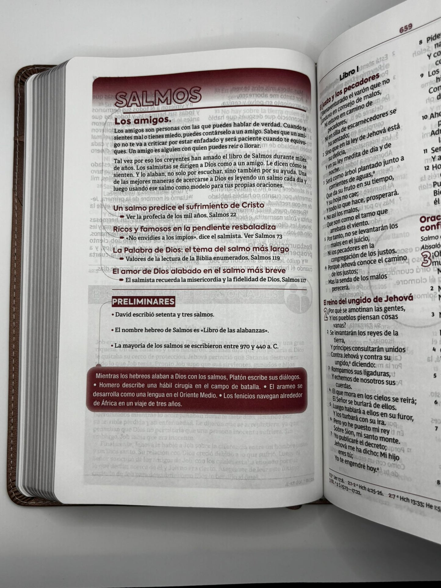 Biblia de Estudio para Jóvenes