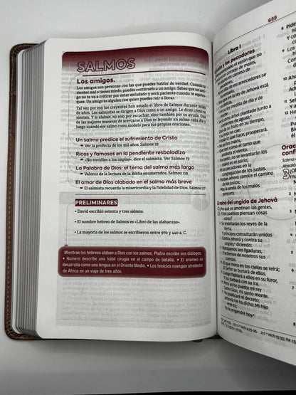 Biblia de Estudio para Jóvenes