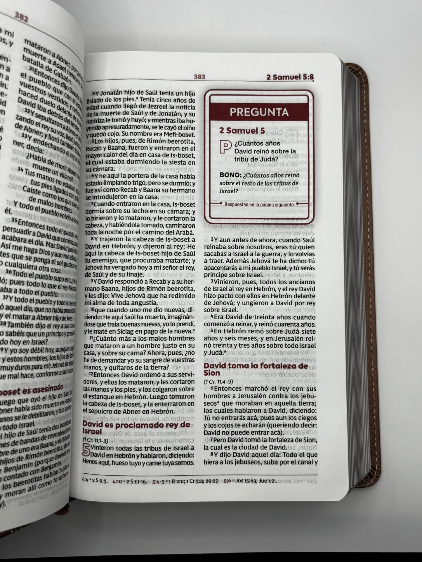 Biblia de Estudio para Jóvenes