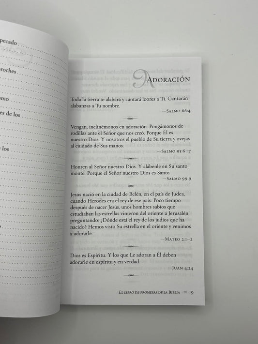 El libro de Promesas de la Biblia