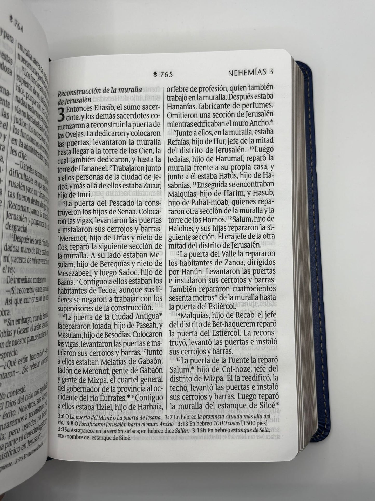 Santa Biblia Nueva Traducción Viviente