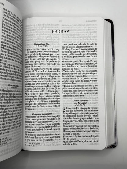 Santa Biblia - RV60 - Letra Grande