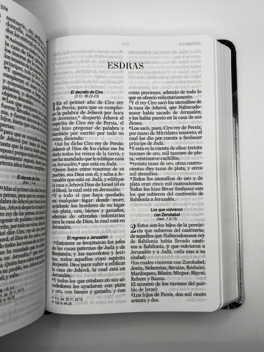 Santa Biblia - RV60 - Letra Grande