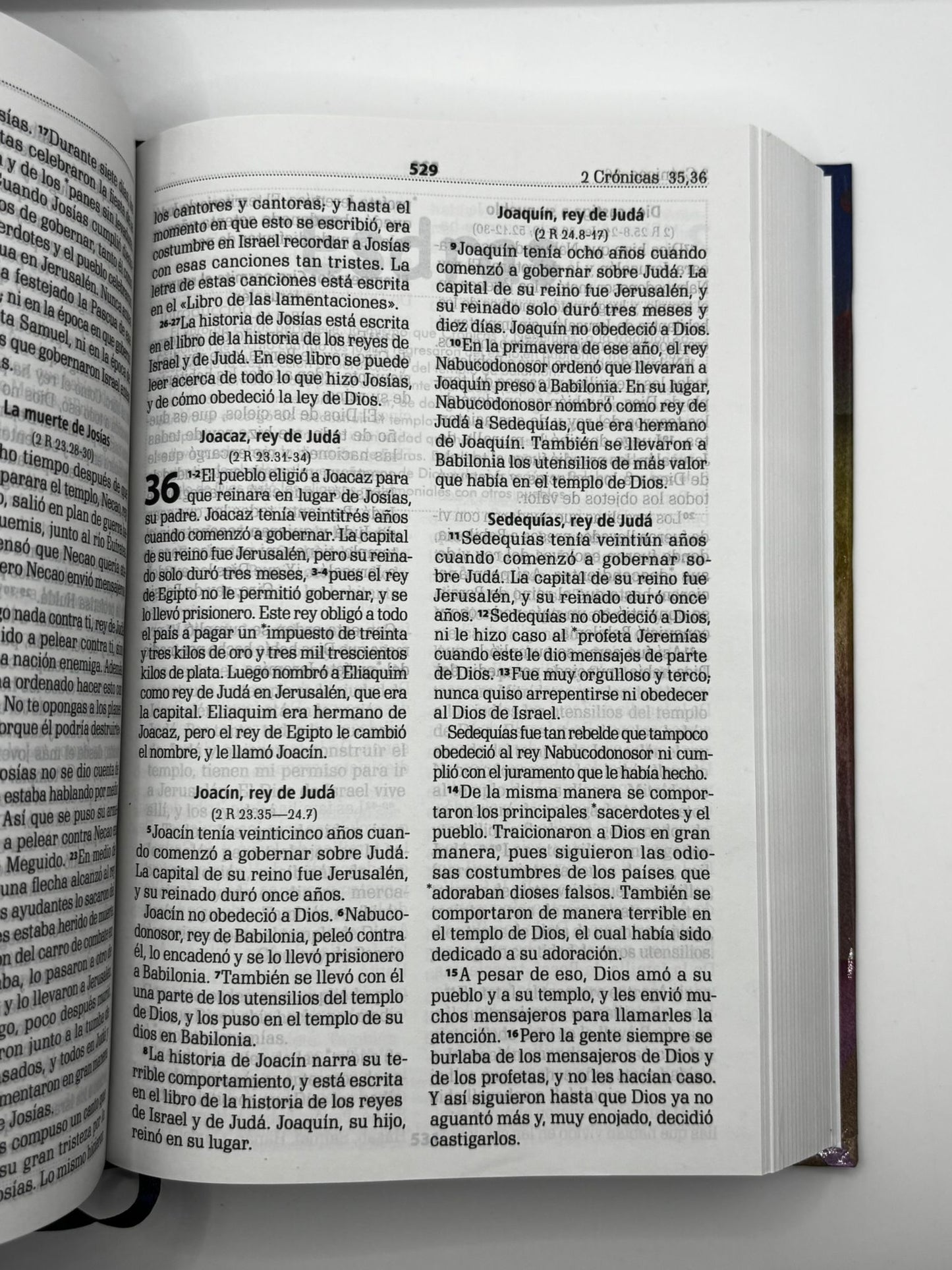 Avivemos : La Biblia para líderes de niños, adolescentes y jóvenes
