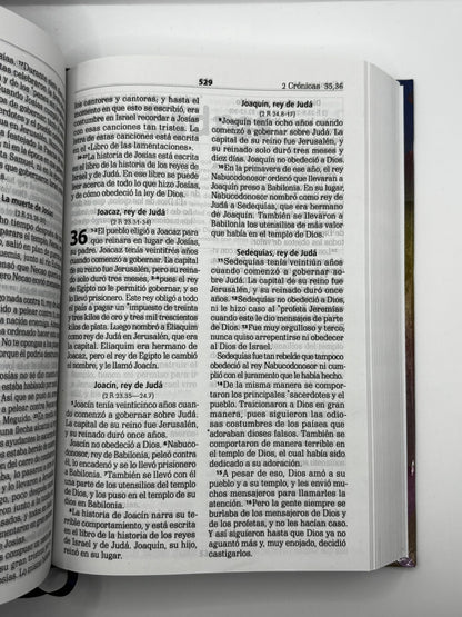 Avivemos : La Biblia para líderes de niños, adolescentes y jóvenes