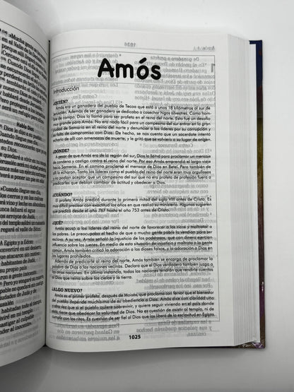 Avivemos : La Biblia para líderes de niños, adolescentes y jóvenes