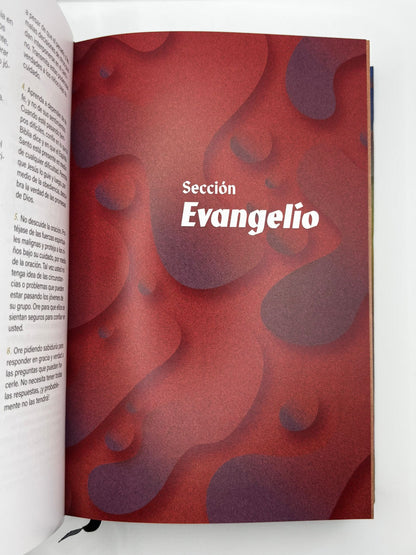 Avivemos : La Biblia para líderes de niños, adolescentes y jóvenes
