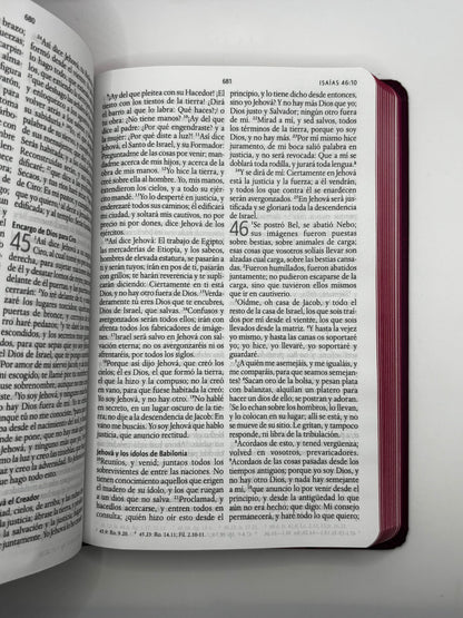 Biblia El León de Judá en Colores