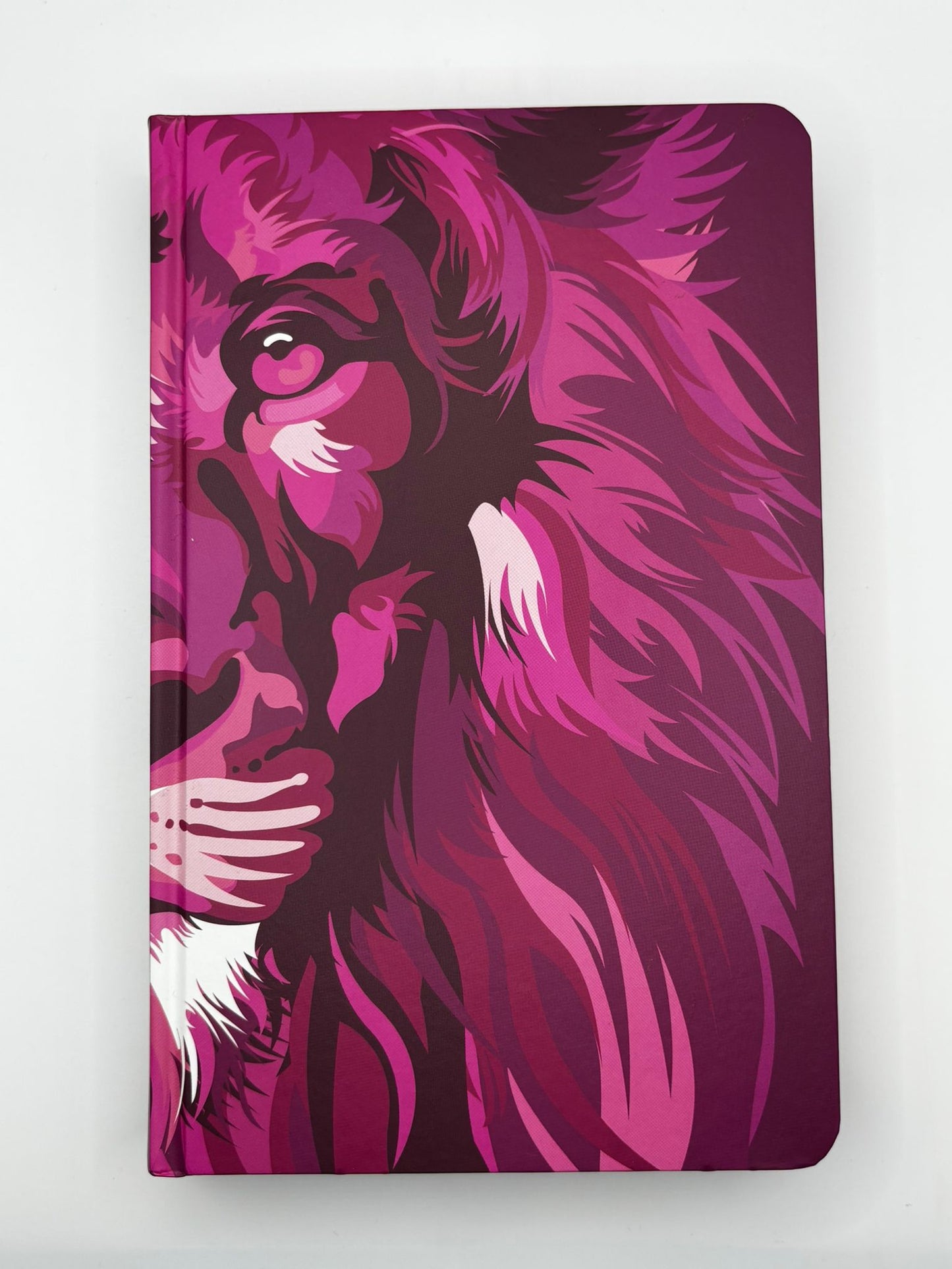 Biblia El León de Judá en Colores