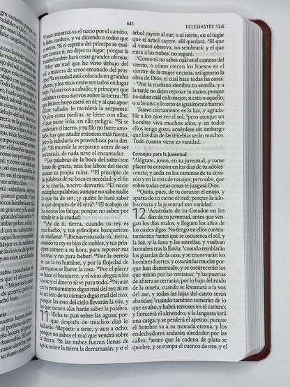 Santa Biblia Doble Corona