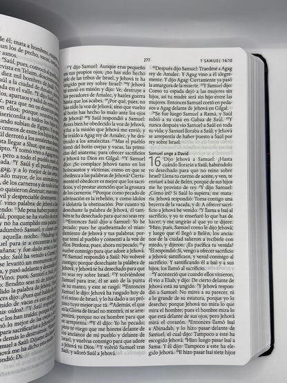 Biblia El León de Judá en Colores
