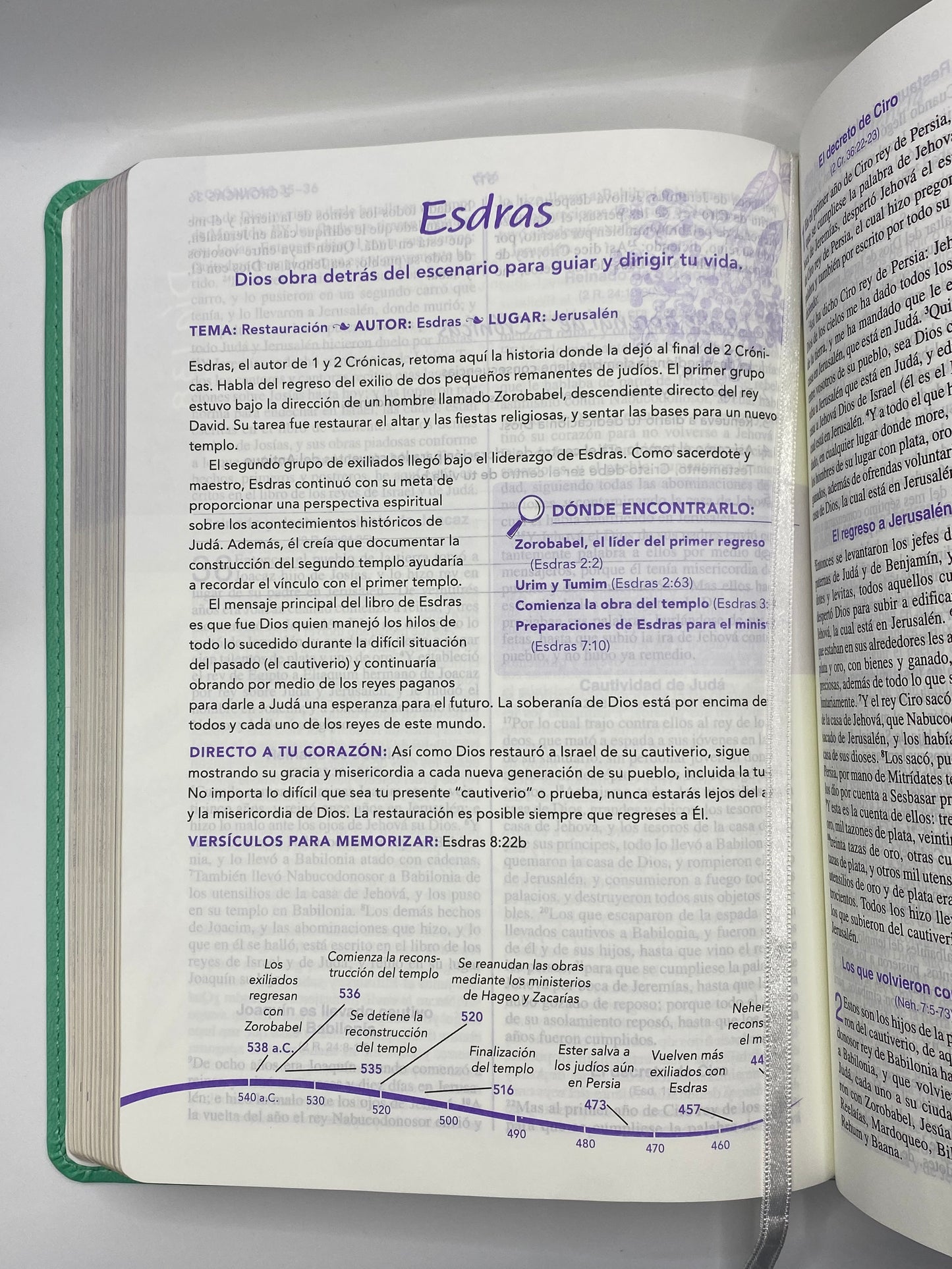 Biblia Joven Conforme al Corazón de Dios