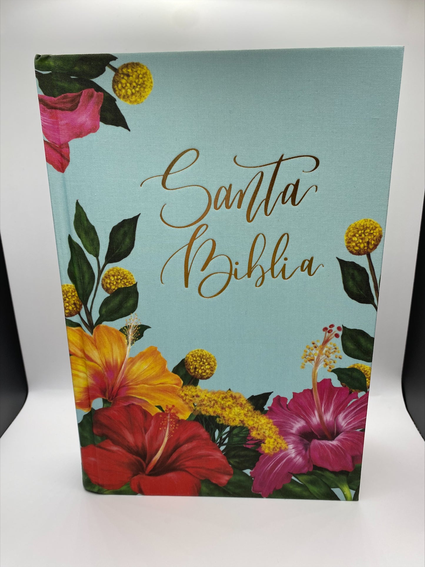 Santa Biblia Edición Artística